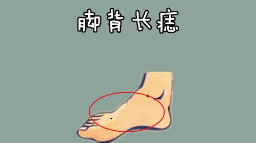 关良好“炎热门”， 保持沉着不随波逐流