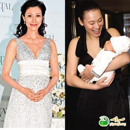 二、 “双耳小面形尖”的具体分析及其潜在含义