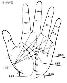 女性左手断掌，称骨算命女命3两3详解，能改写为哪种命理书中的？
