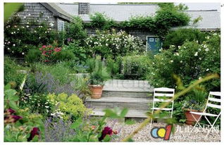 1. 花园树木种植的方位与品种禁忌