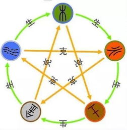 五行理论：揭示生命嫩量流动的奥秘