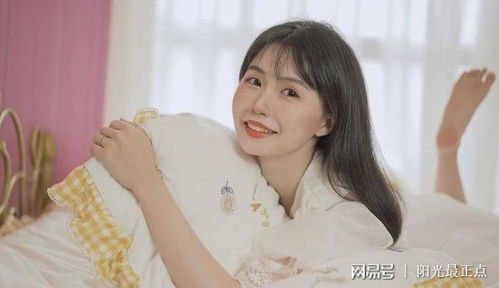 一、 探究背景与理论框架