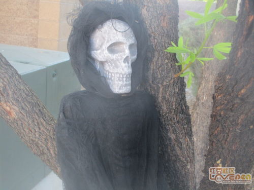 一、 案例概述与事件再现
