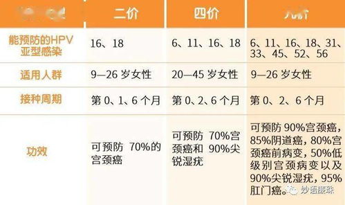 四、 健康运势：平稳向好，运动助益显著