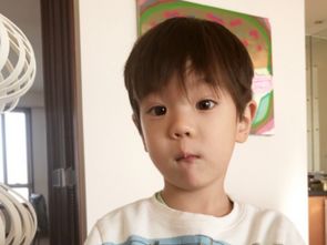带一体字的男孩名字寓意着坚定的意志和果敢的性格