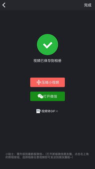 6. 生肖蛇：神秘、 聪慧