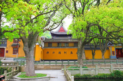 普济寺：普陀山的佛教中心
