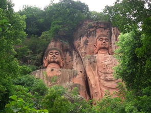 三、 紫耘花海：所谓的禅意葡萄园其实是一片野草地