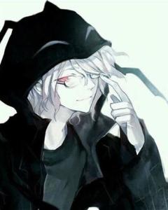 具体推荐名单及其结构分析