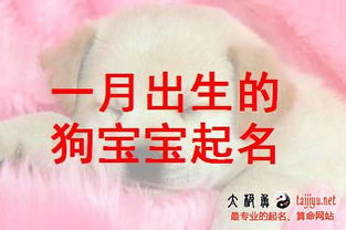 吴明琪这个名字属狗的话，有没有更好的改写建议？