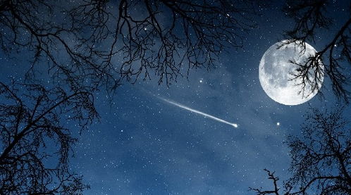 哪个星座的人眼中不容一粒沙？