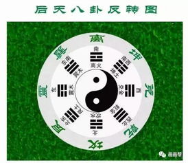 方位定向：构建和谐的空间格局