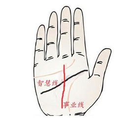 三顾道长手相，这手相难道不一般吗？