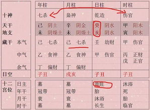 日主强而弱官星在八字命理中具体指的是什么？