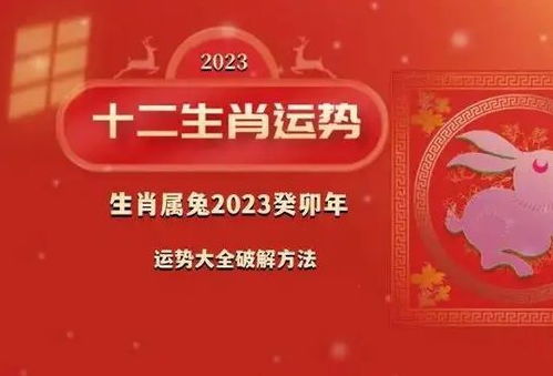 五、 健康与事业方面的具体影响分析