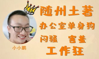二、 单身男子收入水平与婚恋决策之间的非线性关系