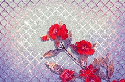 八字合命不合是什么意思？如何判断八字合不合？