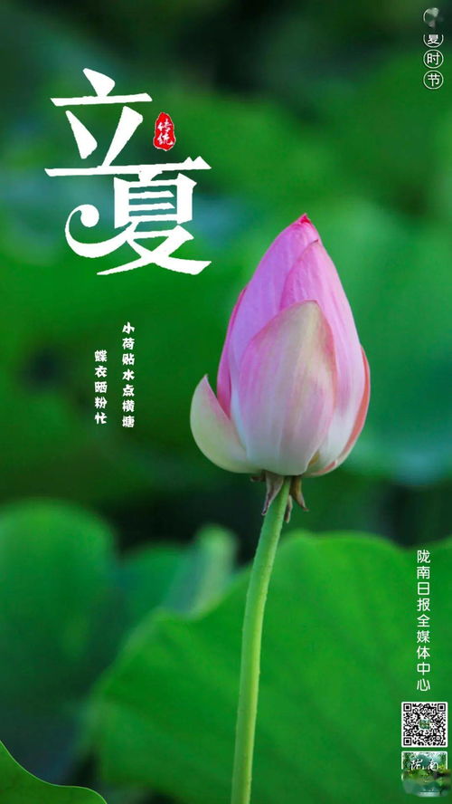 立夏之后第二天是哪一天呢？今天刚好是立夏哦。