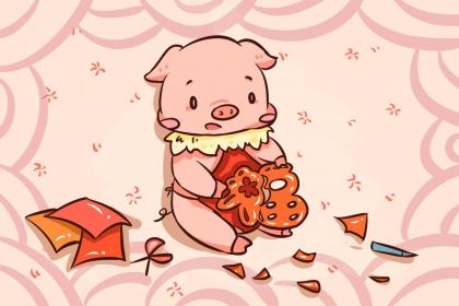 本命年十二岁属猪男孩佩戴什么饰品最旺？