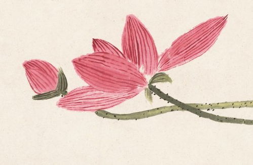 1月7日五行穿衣指南，如何根据五行选择当天穿衣搭配？