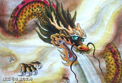 第四个悲剧：属狗的老古董