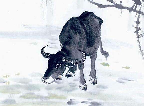 1949年出生属牛的男性在2026年的运势和运程具体如何？