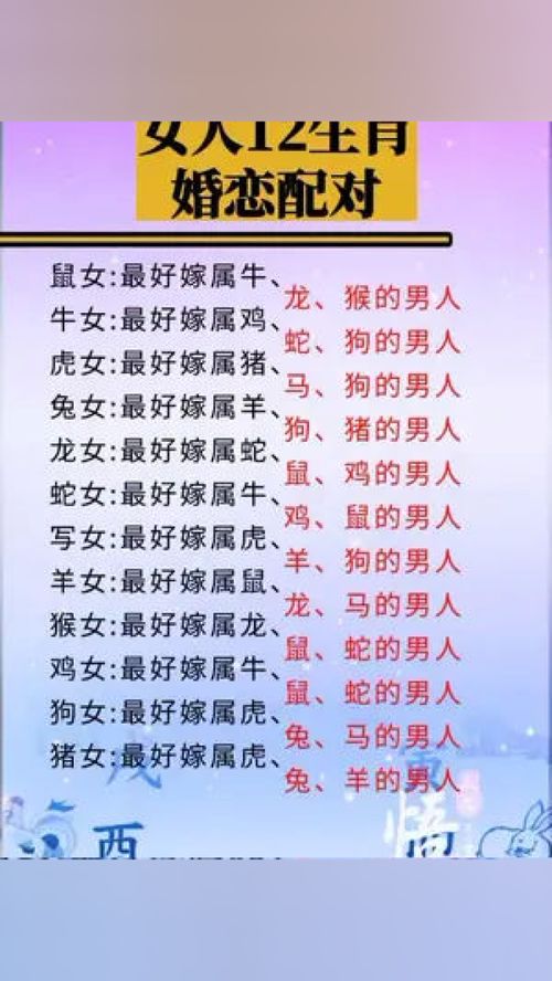 如何通过八字相配找到最佳伴侣？