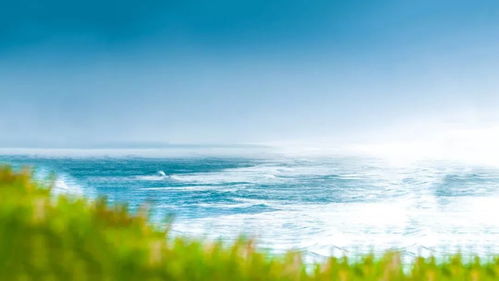 我为什么会梦见那么宽阔的大海和那么蓝蓝的海水呢？