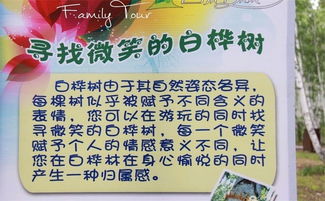 情感纽带的催化剂——碎碎念版
