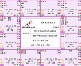 2. 杨市场价格较高妃案例解析