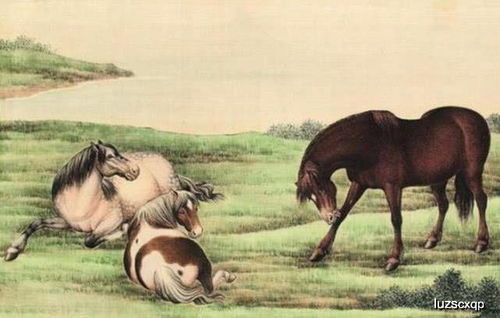 2026年属马运势测算，2025和2026年属马运势具体含义是什么？