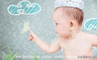 猪宝宝用善字简直是天作之合