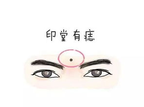 1. 眉心与眉中藏珠的智慧隐喻