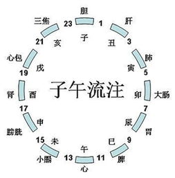 1．四柱比喻的整体结构