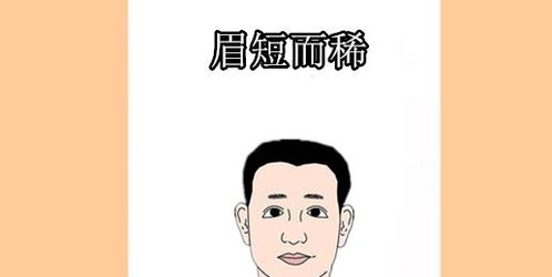 四钱命和四命分别是什么意思？