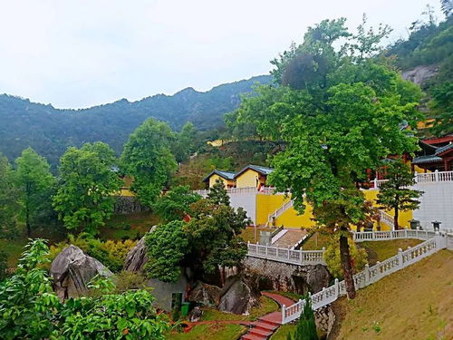 一、交通：怎么去后埔？反正别指望太方便