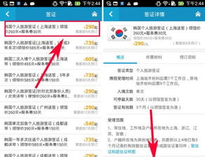 办理流程详解（混沌版）