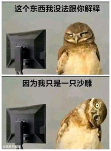 2.1 动物系——动物+形容词+乱入数字=完美组合