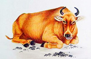 低调！低调！再低调！