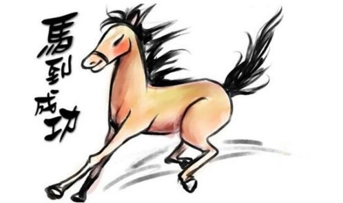 属马女性2026年运势如何变化？