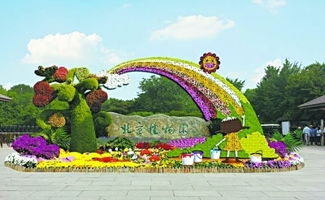游客齐点赞，辛苦换来温暖与温度
