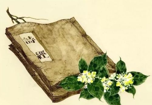 给刚出生的毛姓宝宝取名