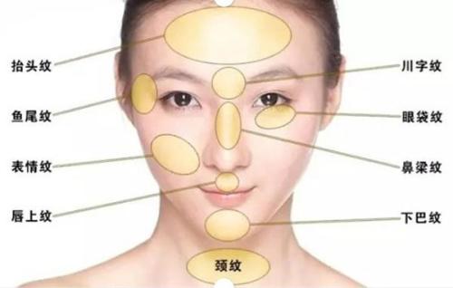 五、防护策略：从生活习惯到专业干预
