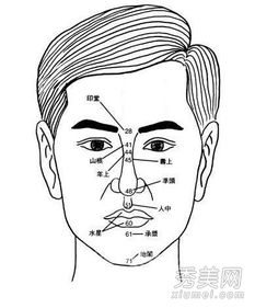 胡须的形状与性格特征