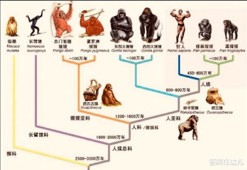 一、 十二神理论的天体观起源与结构化持续发展