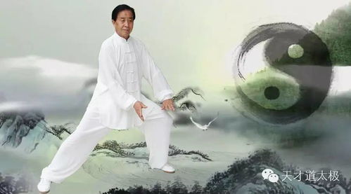 太极文化的传承与发展：多元路径下的时代创新