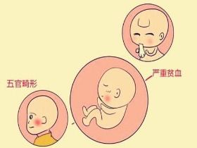 属牛配兔财运如何，这究竟是什么意思呢？