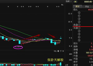 具体象意：多元化的象征