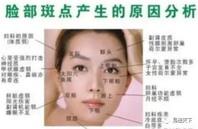 牙齿枯黄：事业心与身体负担