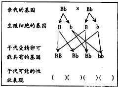 2.2 水源形态：财富生发的象征
